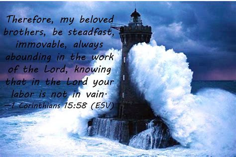 Be Steadfast Be Immovable Wellspring Christian Ministries