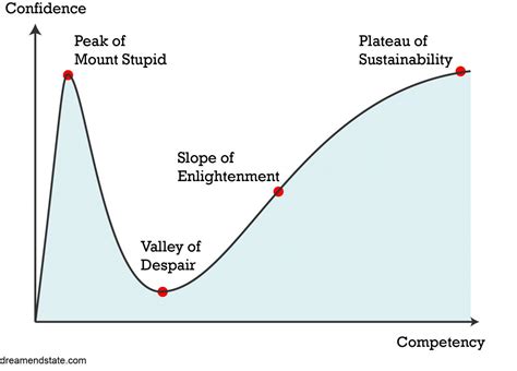 Dunning Kruger Effect Are You Pickaxing To The Plateau Or Plummeting