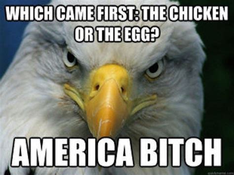 Pin By Troy Gerrets On America Bald Eagle America Memes Eagles Memes