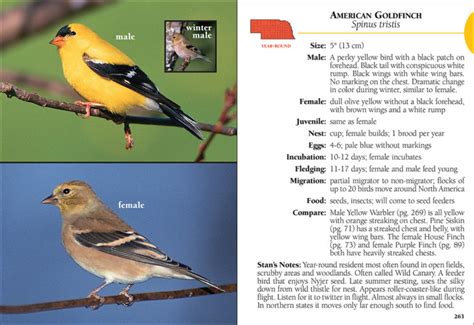 Birds Of Nebraska Field Guide Adventurekeen Shop