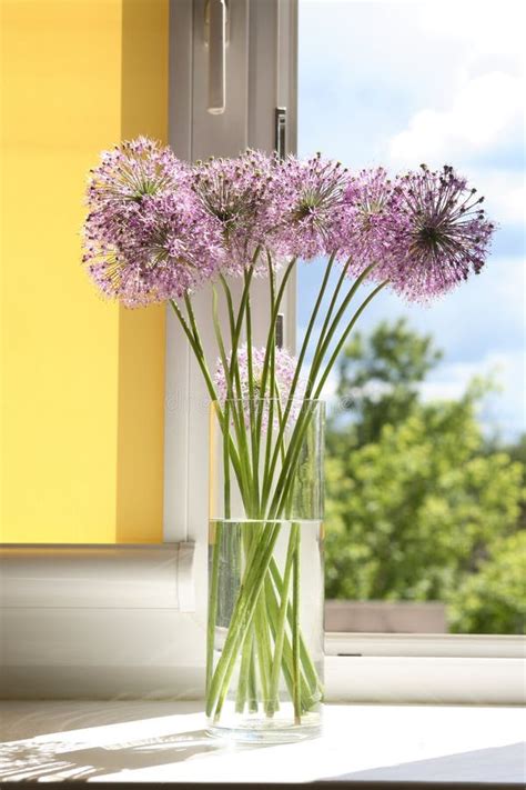 Flowers On Window Sill Stock Image Image Of Vase Summer 55065733