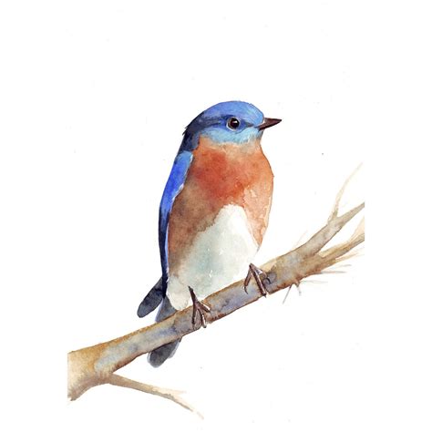 Easy Watercolor Birds At Getdrawings Free Download