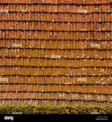 Old Tiled Roof Of The Building With A Dirty Textured Surfacetexture Or