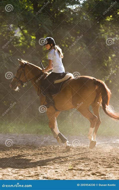 Young Girl Riding A Horse Stock Photo Image Of Landscape 205954230