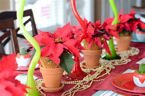 Christmas cacti are such beautiful plants when they flower, and we often hear that cuttings have leaves: The Best Christmas Plants for Gifts and Decor - The Gifted ...