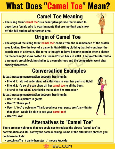 Camel Toe Meaning Learn The Definition Of The Slang Term 7esl