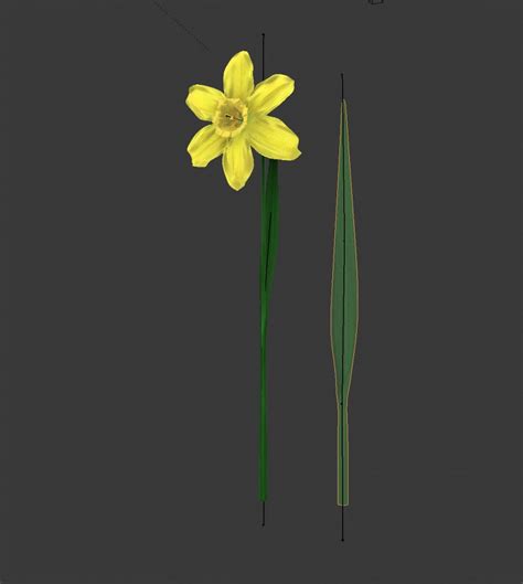 Blend Swap | Rush Daffodil (Narcissus jonquilla, Ã Â¼onkil)