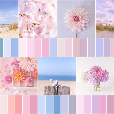 Colour Palette Inspiration By Zoë Power Beautiful Simplicity