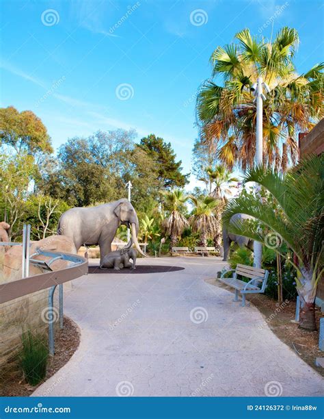 Trail In San Diego Zoo With Elephant Sculpture Editorial Photography