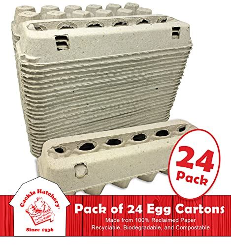 Vented Paper Pulp Egg Cartons 24 Pack — 🛍️ The Retail Market