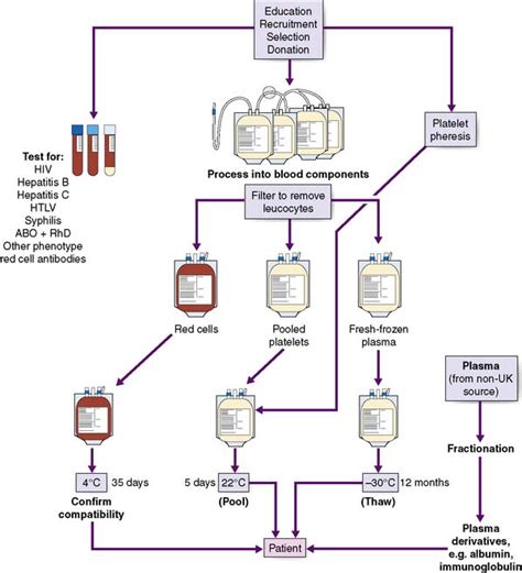 Transfusion Of Blood Components And Plasma Products Basicmedical Key