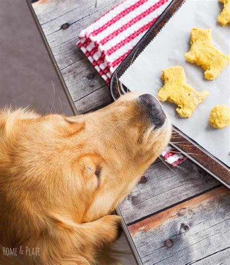 Dog Treat Recipe For Dogs With Allergies Grain Free