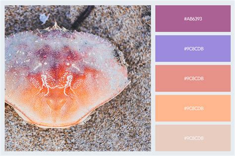 Html color code for #b4cfec. How to Use Pastel Colors in Your Designs [+15 Delicious ...