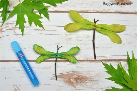 Maple Tree Helicopter Seed Dragonfly Craft For Kids Buggy And Buddy