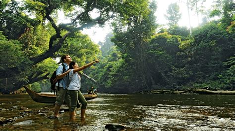 Private Taman Negara National Park Day Excursion From Kl