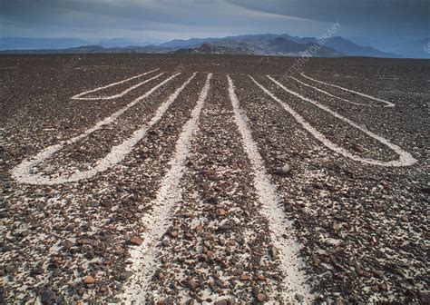 Nazca Lines Stock Image E900 0078 Science Photo Library