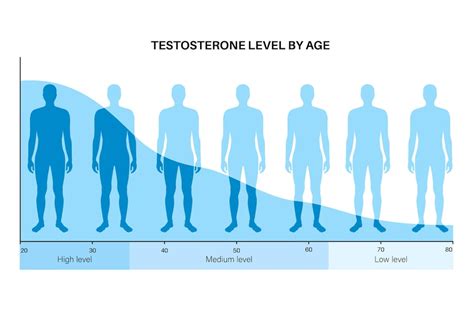 Tabla De Colores Del Nivel De Testosterona Producción De Hormonas Sexuales Por Edad Infografía