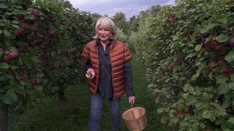 Martha Stewarts Pink Applesauce Tart Cbs News