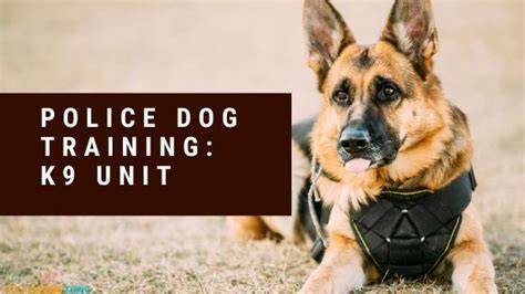 Police Dog Training K9 Unit All About K9 Dogs