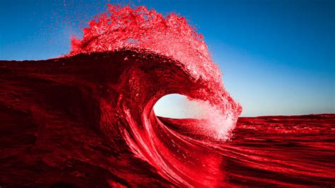 The Red Wave That Really Matters By Michael Brown Brown Pelican