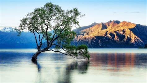Lake Wanaka Beautiful Reflection New Zealand Wallpaper For
