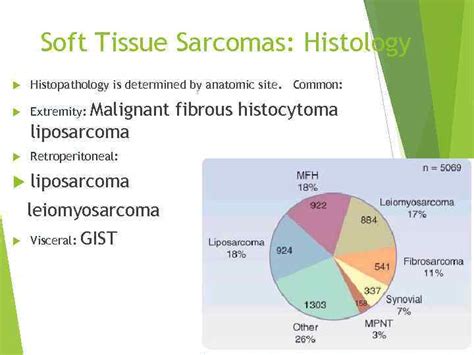 Sarcoma Of Soft Tissue Dr Olga Vornicova Oncology