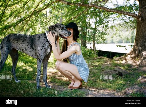 Full Length Of Woman Kissing Great Dane At Park Stock Photo Alamy