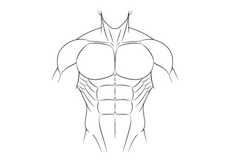 Anime Back Muscles Reference Draw Anime Anatomy Manga Expert