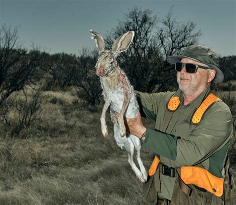 Hunting Jackrabbits On Public Land In The Southwest Field And Stream