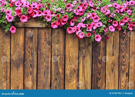 Flowers Wood Texture Background Stock Image Image 31007961