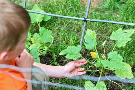 Gardening With Kids • Run Wild My Child