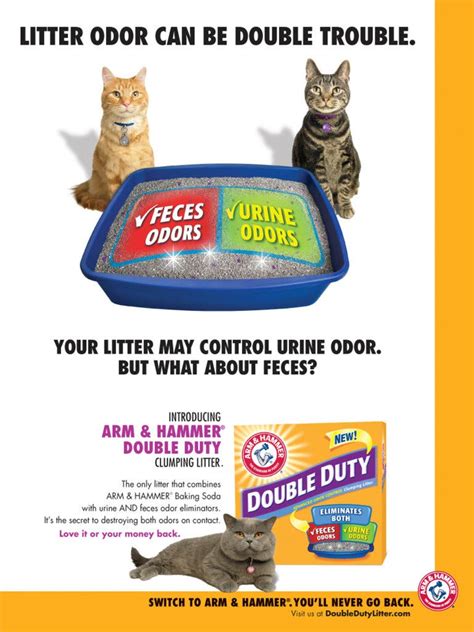 A Cat Litter Campaign Minces No Words On Odor Control The New York Times