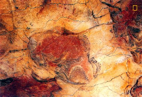 World Come To My Home Spain Cantabria Cave Of Altamira And