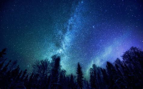 Trees Nature Stars Milky Way Wallpapers Hd Desktop