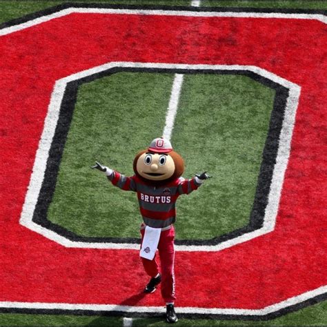 We have 54+ amazing background pictures carefully picked by our community. 10 Most Popular Ohio State Buckeyes Football Wallpaper ...