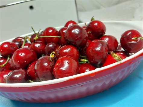 치석제거와 치실 사용법