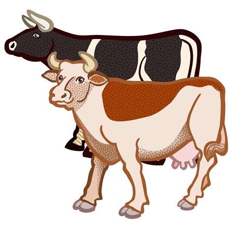 Jersey cattle British White cattle Highland cattle Clip art - a cow png ...