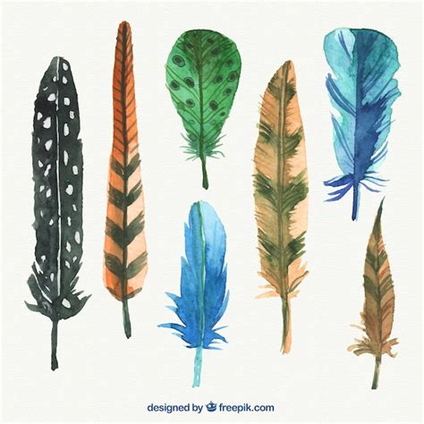 Abstract Watercolor Feathers Pack Vector Free Download