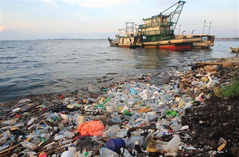 Blue Charter Fellowships To Drive Research On Ocean Pollution