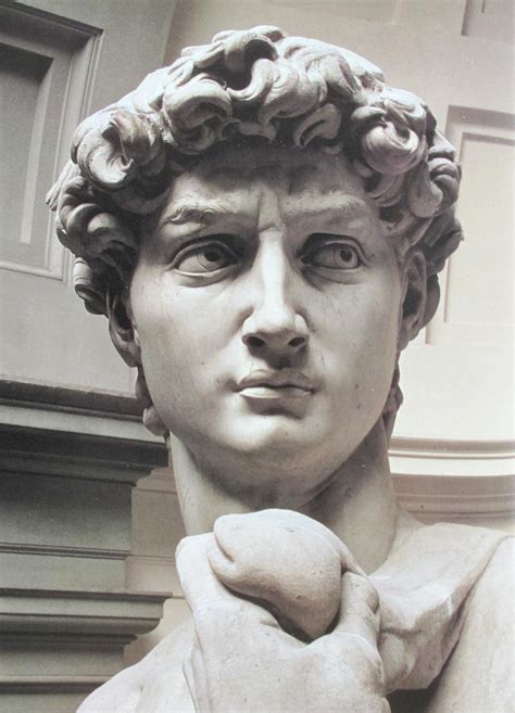 Head Of David By Michelangelo Photograph By Carl Purcell Fine Art America