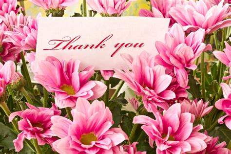 Thank You Images With Flowers Hd Download Thank You Hd Images For Ppt