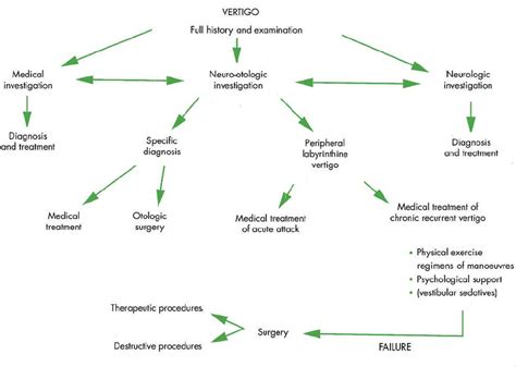 Outline Strategy For Management Of Vertigo Reproduced With Permission