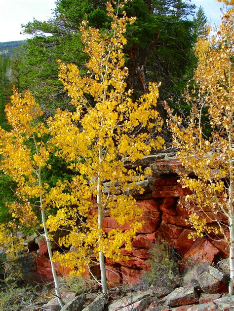 Fall Colors Photos Diagrams And Topos Summitpost