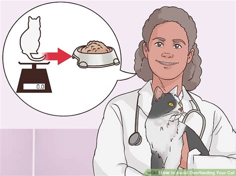 How To Avoid Overfeeding Your Cat 10 Steps With Pictures