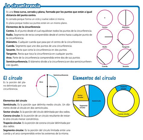 La Circunferencia Y El Círculo Escolar Abc Color