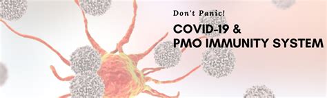 How To Improve Your Pmo Immunity System And Stay Proactive