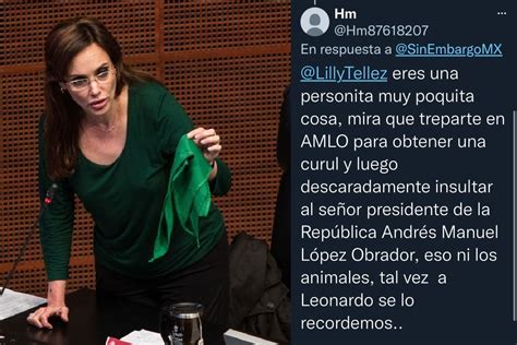 Lilly Téllez Denuncia Amenazas Contra Su Hijo Por Seguidor De Morena