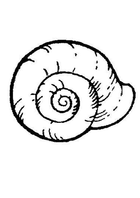 Drucke diese muscheln ausmalbilder kostenlos aus. 37 Muscheln Zum Ausmalen - Besten Bilder von ausmalbilder