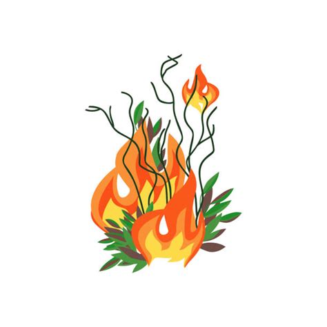 330 Forest Fire Disaster Drawing Stock Photos Pictures And Royalty Free