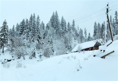 Winter Ukrainian Carpathian Mountains Landscape Stock Photo Image Of